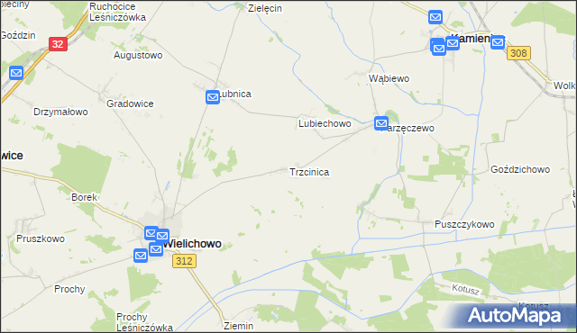 mapa Trzcinica gmina Wielichowo, Trzcinica gmina Wielichowo na mapie Targeo