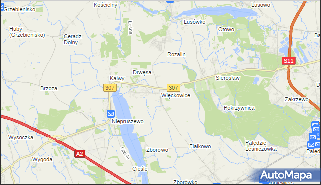 mapa Więckowice gmina Dopiewo, Więckowice gmina Dopiewo na mapie Targeo