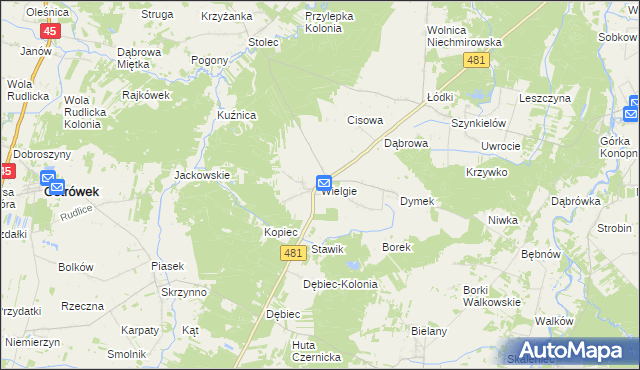 mapa Wielgie gmina Ostrówek, Wielgie gmina Ostrówek na mapie Targeo