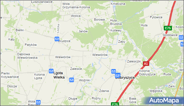 mapa Wiewiórów gmina Dobryszyce, Wiewiórów gmina Dobryszyce na mapie Targeo