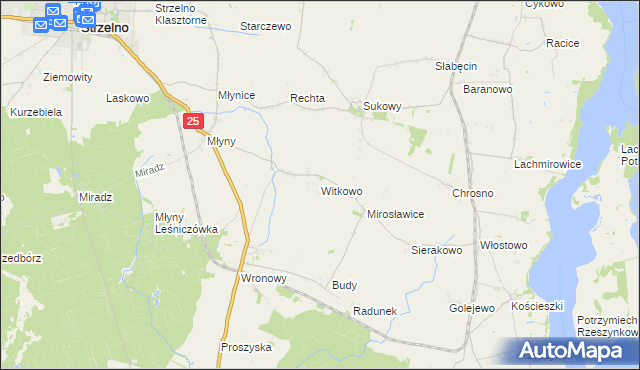mapa Witkowo gmina Strzelno, Witkowo gmina Strzelno na mapie Targeo