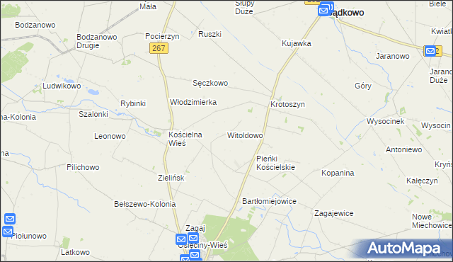 mapa Witoldowo gmina Osięciny, Witoldowo gmina Osięciny na mapie Targeo