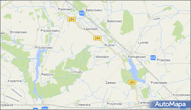 mapa Witoldzin gmina Szamotuły, Witoldzin gmina Szamotuły na mapie Targeo