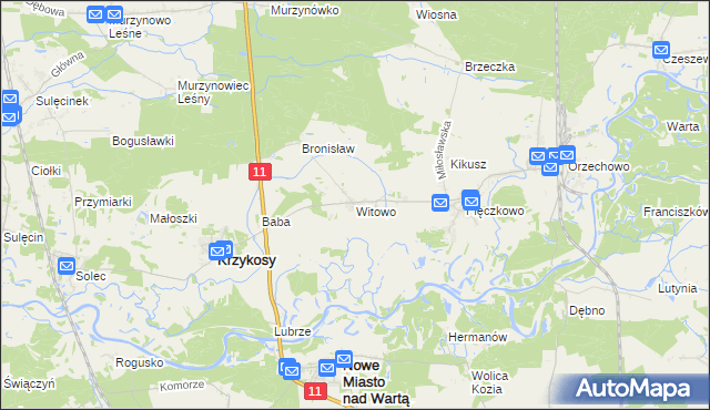mapa Witowo gmina Krzykosy, Witowo gmina Krzykosy na mapie Targeo