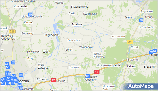 mapa Wygnanów gmina Opoczno, Wygnanów gmina Opoczno na mapie Targeo