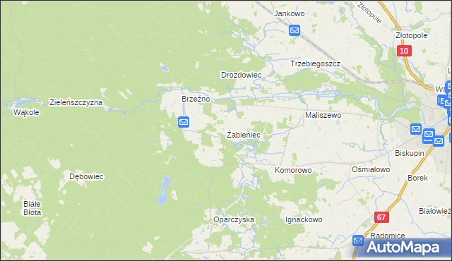 mapa Żabieniec gmina Lipno, Żabieniec gmina Lipno na mapie Targeo