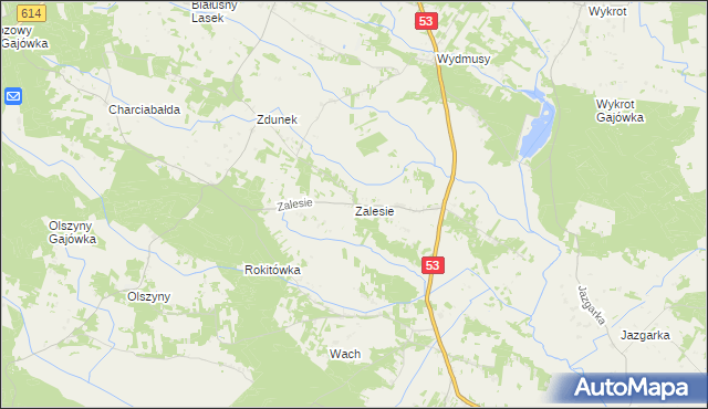 mapa Zalesie gmina Myszyniec, Zalesie gmina Myszyniec na mapie Targeo