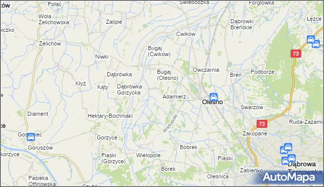 mapa Adamierz gmina Olesno, Adamierz gmina Olesno na mapie Targeo