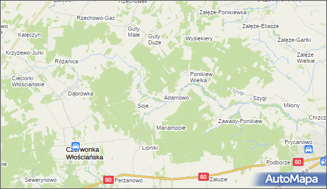 mapa Adamowo gmina Czerwonka, Adamowo gmina Czerwonka na mapie Targeo