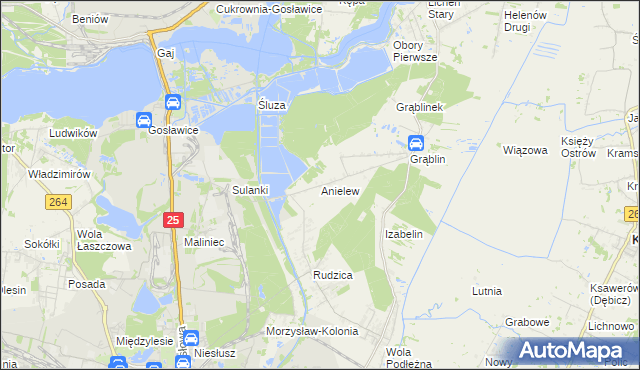 mapa Anielew gmina Kramsk, Anielew gmina Kramsk na mapie Targeo