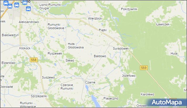mapa Bałdowo gmina Wielgie, Bałdowo gmina Wielgie na mapie Targeo