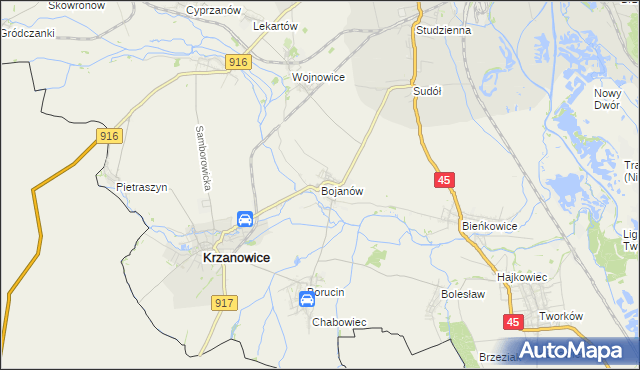mapa Bojanów gmina Krzanowice, Bojanów gmina Krzanowice na mapie Targeo