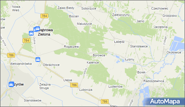 mapa Borowce gmina Dąbrowa Zielona, Borowce gmina Dąbrowa Zielona na mapie Targeo