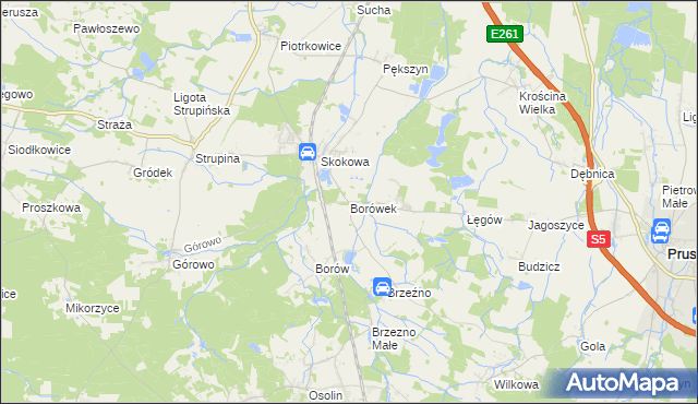 mapa Borówek gmina Prusice, Borówek gmina Prusice na mapie Targeo
