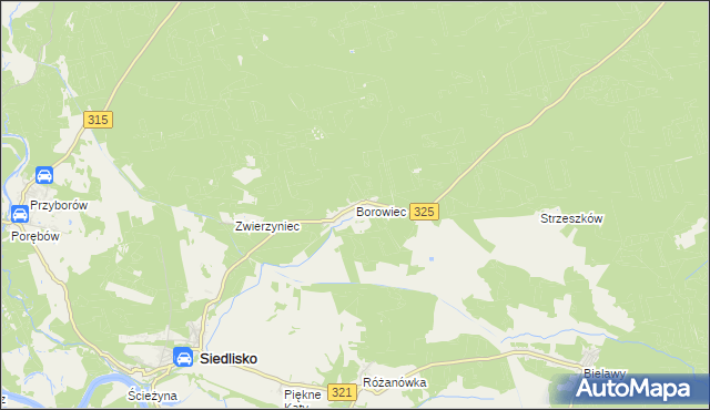 mapa Borowiec gmina Siedlisko, Borowiec gmina Siedlisko na mapie Targeo