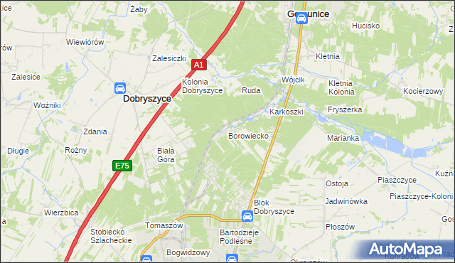 mapa Borowiecko, Borowiecko na mapie Targeo