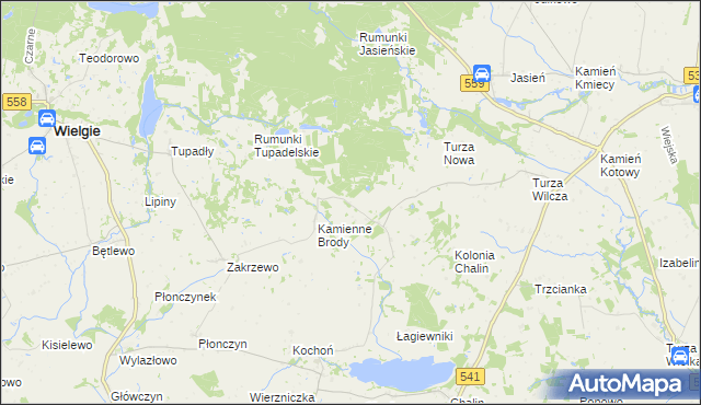 mapa Borowo gmina Tłuchowo, Borowo gmina Tłuchowo na mapie Targeo