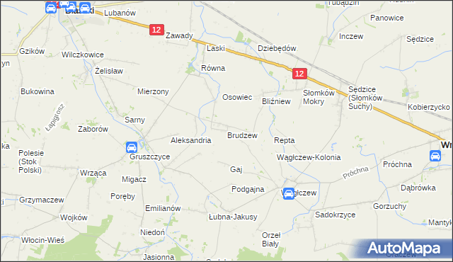 mapa Brudzew gmina Błaszki, Brudzew gmina Błaszki na mapie Targeo