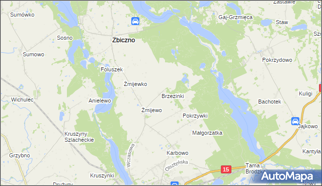 mapa Brzezinki gmina Zbiczno, Brzezinki gmina Zbiczno na mapie Targeo