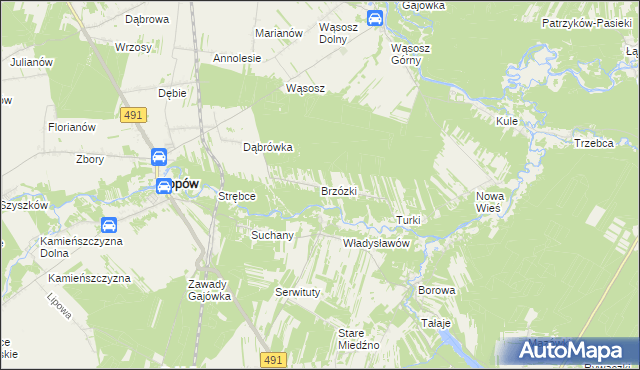 mapa Brzózki gmina Popów, Brzózki gmina Popów na mapie Targeo
