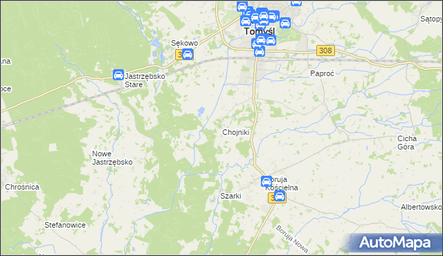 mapa Chojniki gmina Nowy Tomyśl, Chojniki gmina Nowy Tomyśl na mapie Targeo