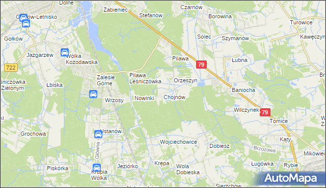 mapa Chojnów gmina Piaseczno, Chojnów gmina Piaseczno na mapie Targeo