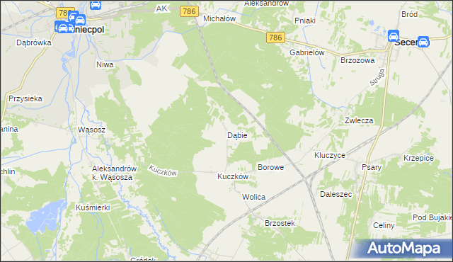 mapa Dąbie gmina Secemin, Dąbie gmina Secemin na mapie Targeo