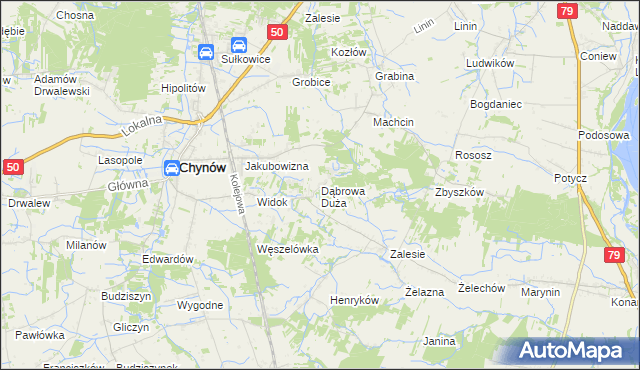 mapa Dąbrowa Duża gmina Chynów, Dąbrowa Duża gmina Chynów na mapie Targeo