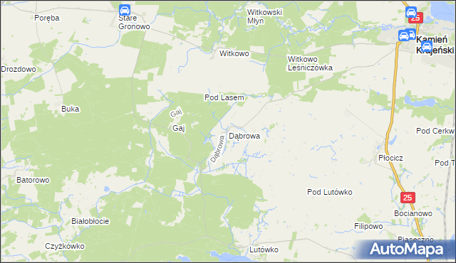 mapa Dąbrowa gmina Kamień Krajeński, Dąbrowa gmina Kamień Krajeński na mapie Targeo