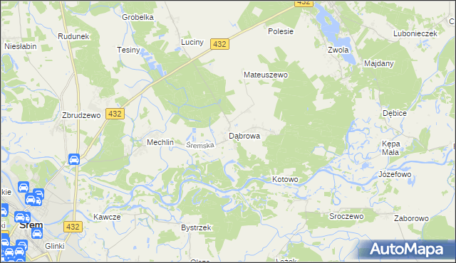 mapa Dąbrowa gmina Śrem, Dąbrowa gmina Śrem na mapie Targeo