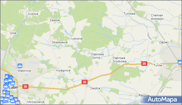 mapa Dąbrowa Górna gmina Lubin, Dąbrowa Górna gmina Lubin na mapie Targeo