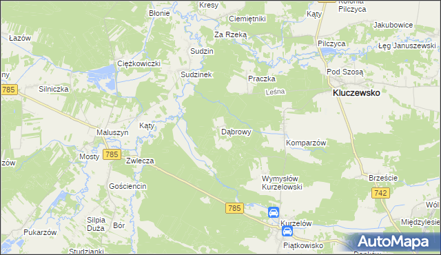 mapa Dąbrowy gmina Kluczewsko, Dąbrowy gmina Kluczewsko na mapie Targeo