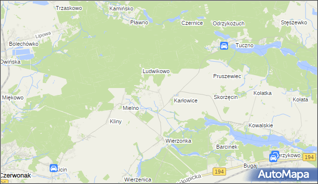 mapa Dębogóra gmina Czerwonak, Dębogóra gmina Czerwonak na mapie Targeo