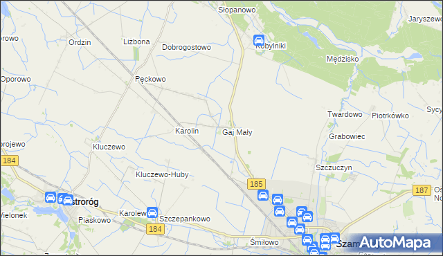 mapa Gaj Mały gmina Obrzycko, Gaj Mały gmina Obrzycko na mapie Targeo