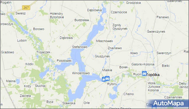 mapa Głuszynek, Głuszynek na mapie Targeo