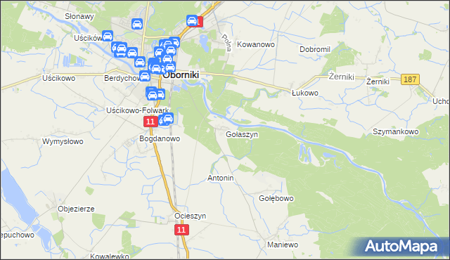 mapa Gołaszyn gmina Oborniki, Gołaszyn gmina Oborniki na mapie Targeo