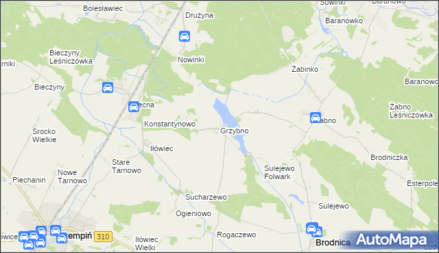 mapa Grzybno gmina Brodnica, Grzybno gmina Brodnica na mapie Targeo