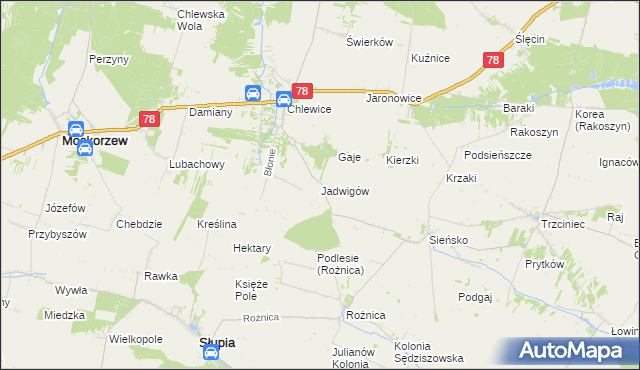 mapa Jadwigów gmina Moskorzew, Jadwigów gmina Moskorzew na mapie Targeo