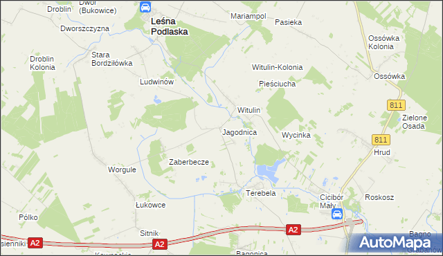 mapa Jagodnica gmina Leśna Podlaska, Jagodnica gmina Leśna Podlaska na mapie Targeo