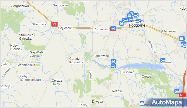 mapa Jankowice gmina Tarnowo Podgórne, Jankowice gmina Tarnowo Podgórne na mapie Targeo