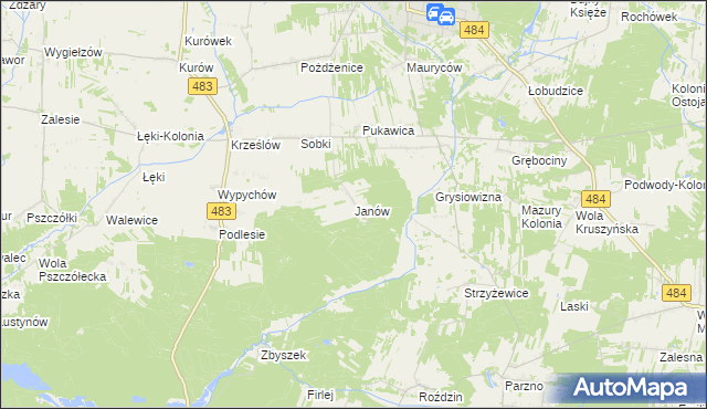 mapa Janów gmina Zelów, Janów gmina Zelów na mapie Targeo