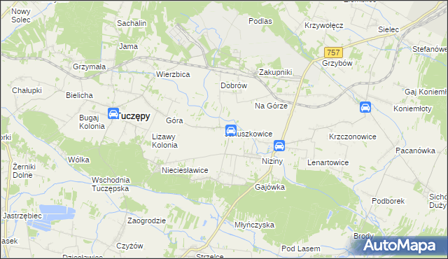 mapa Januszkowice gmina Tuczępy, Januszkowice gmina Tuczępy na mapie Targeo