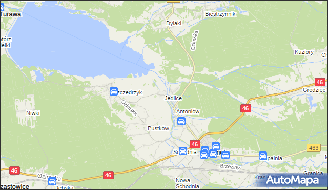 mapa Jedlice gmina Ozimek, Jedlice gmina Ozimek na mapie Targeo