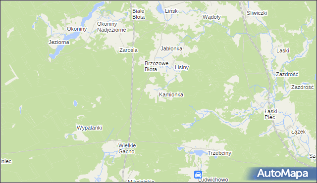 mapa Kamionka gmina Śliwice, Kamionka gmina Śliwice na mapie Targeo