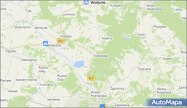 mapa Kołodziąż gmina Wodynie, Kołodziąż gmina Wodynie na mapie Targeo