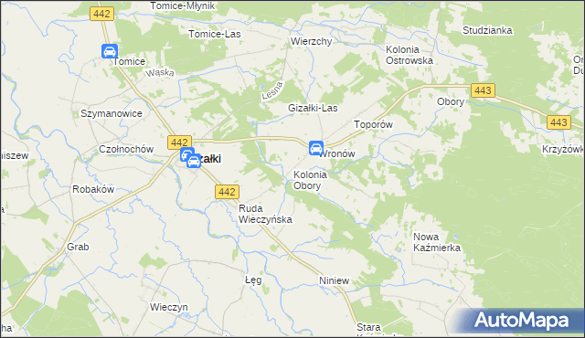 mapa Kolonia Obory, Kolonia Obory na mapie Targeo