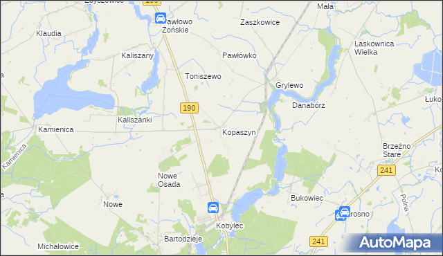 mapa Kopaszyn gmina Wągrowiec, Kopaszyn gmina Wągrowiec na mapie Targeo