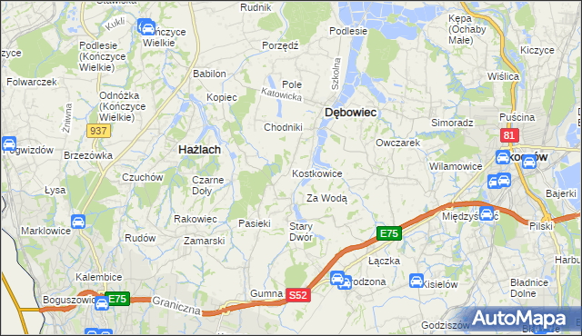 mapa Kostkowice gmina Dębowiec, Kostkowice gmina Dębowiec na mapie Targeo