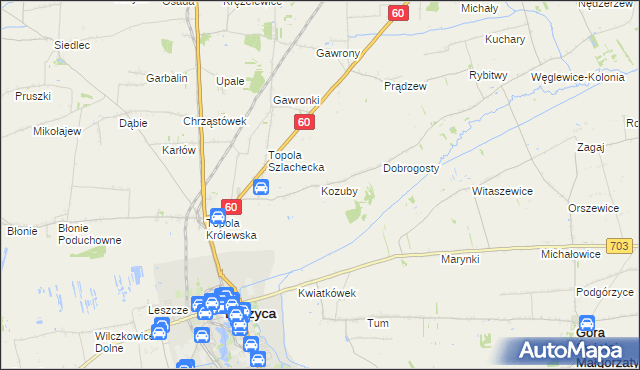 mapa Kozuby gmina Łęczyca, Kozuby gmina Łęczyca na mapie Targeo