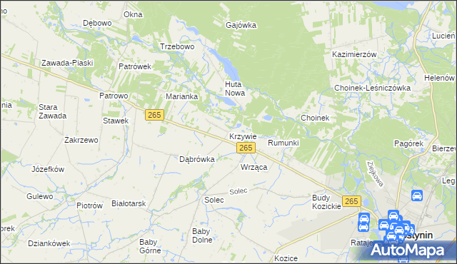 mapa Krzywie gmina Gostynin, Krzywie gmina Gostynin na mapie Targeo
